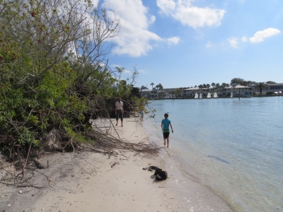 Snake Island beach