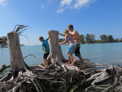 Snake Island tree formation